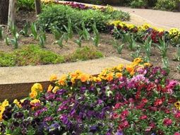 色とりどりの花々が咲く庭