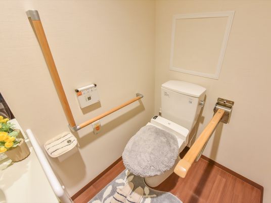 手すり付きの清潔なトイレ