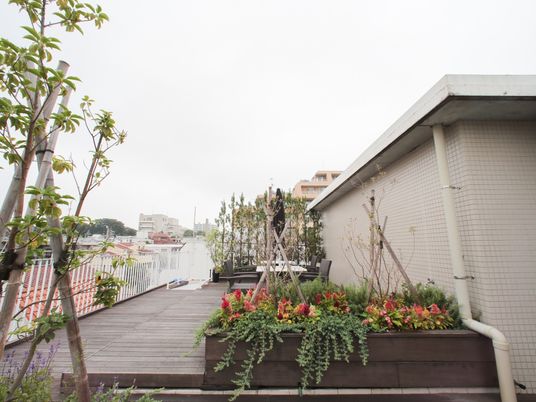 屋上の緑豊かなテラス
