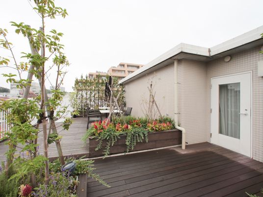 緑豊かな屋上テラス