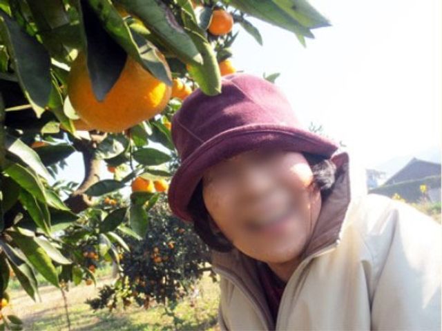 笑顔の方とオレンジの木 レクリエーション 広々とした庭では、新鮮な空気を感じながら、自然とふれあう時間を楽しんでいただけます。