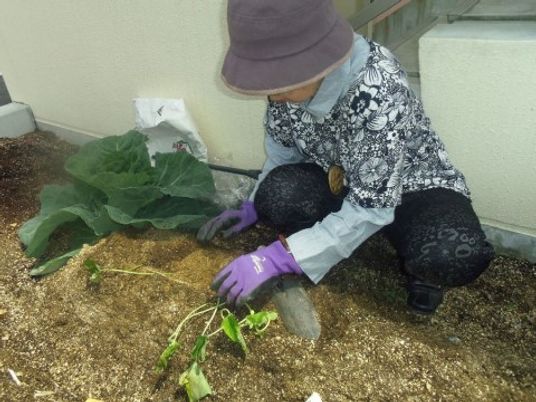 庭で植物の世話をする人