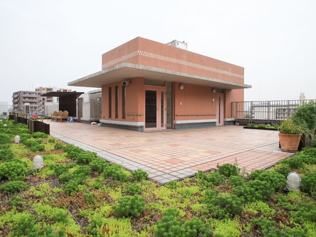 中庭の全体像 屋上階 広々とした中庭では、心地よい空間で憩いの時間を提供しています。都会の中の緑あふれる景色が楽しめます。