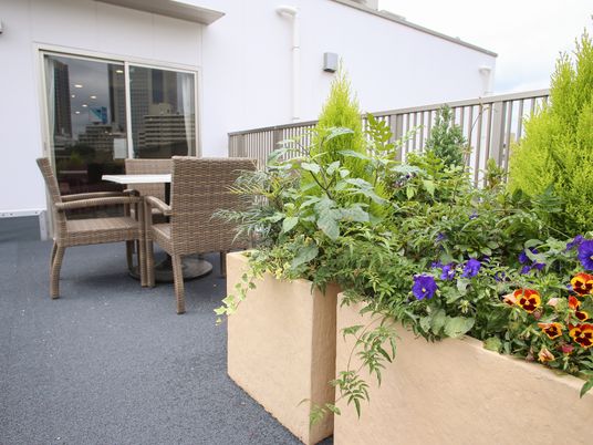 屋外テラスの椅子と植栽