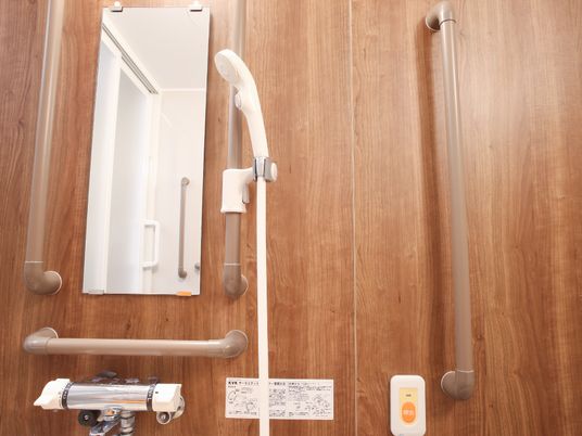 安全な浴室の手すり