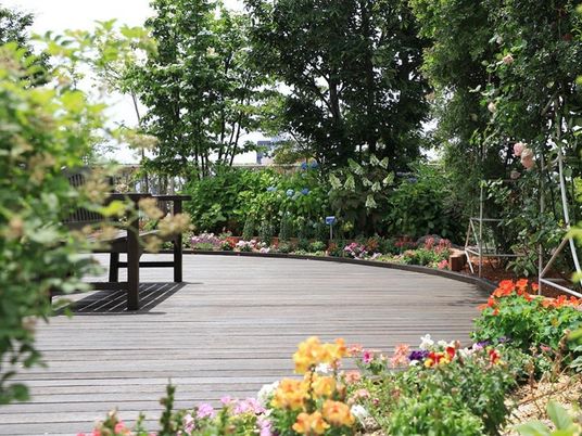 緑豊かな庭の風景