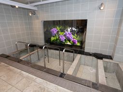 浴室の洗い場の一角