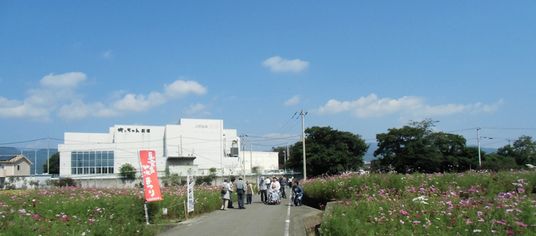 青空と道端の花
