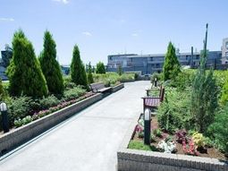 緑豊かな中庭の風景