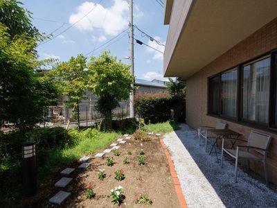 中庭の植物と休憩スペース