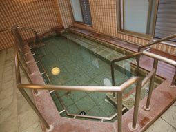 バリアフリー浴室のインテリア