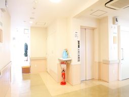 清潔な廊下とエレベーター