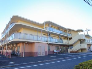 日差しの中の暖かな外観