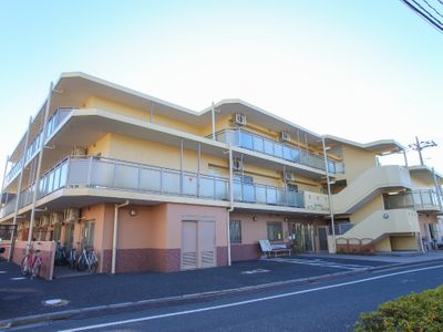 日差しの中の暖かな外観