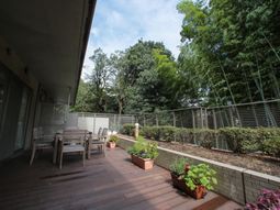 緑豊かなテラス風景