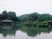 緑豊かな池の風景
