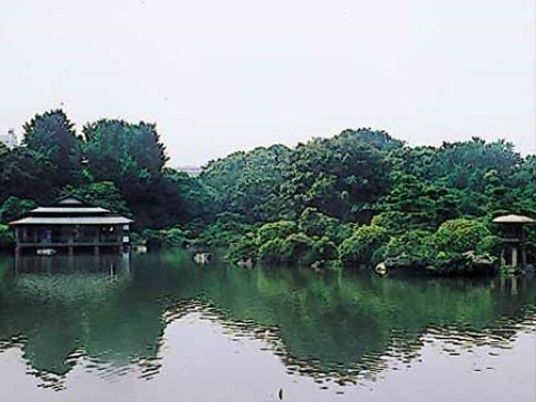 緑豊かな池の風景