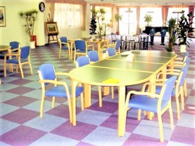 快適な共有ダイニング空間 食堂 たくさんの植物が配置され、陽光の差し込むダイニングルームです。カラフルなテーブルとイスが、快適な食事や会話の場を提供しています。