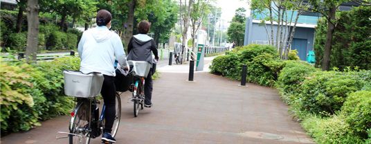 緑豊かな通路