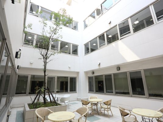 中庭の緑とテーブル