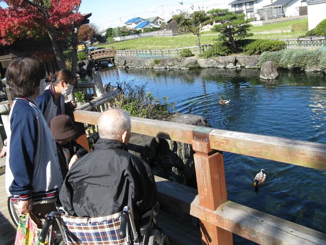 池を眺める様子 庭 車椅子の方も一緒に楽しめる池のある庭の風景です。鴨を見ながらリラックスできます。