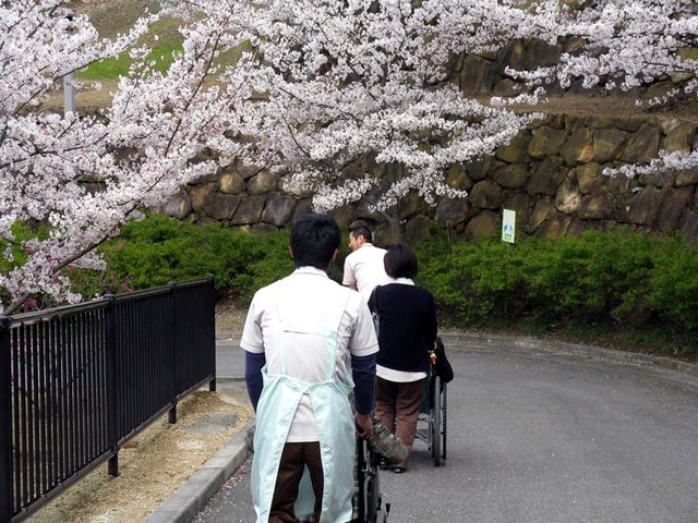 桜の下のスタッフと利用者の様子 中庭 桜の咲く道をスタッフと利用者が一緒に散策しています。季節を感じながらリラックスできる時間が過ごせます。