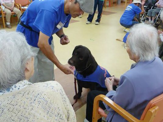 人と犬のふれあい時間
