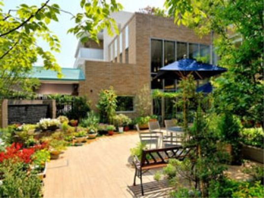 緑豊かな中庭景観
