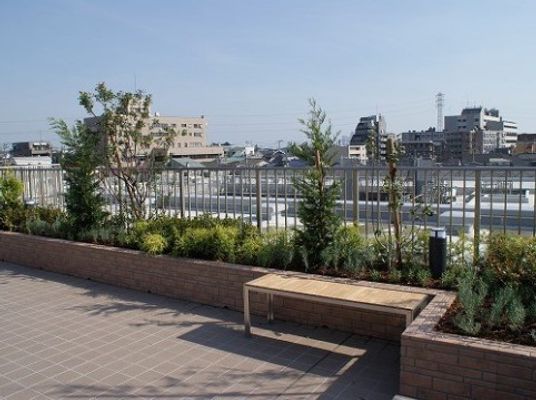 陽光あふれる庭先
