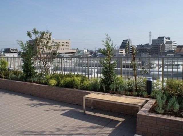 陽光あふれる庭先