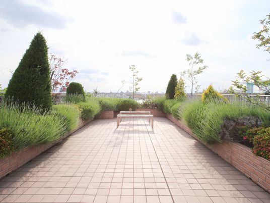 中庭の植栽とテーブル