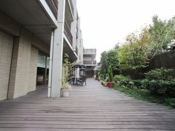 中庭の木々とテラス