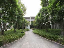 緑に囲まれた敷地の通路