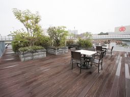 屋上の植物とテーブルセット