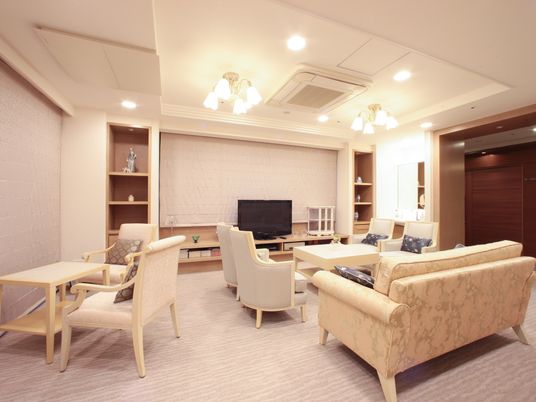 リビングルームの清潔な空間