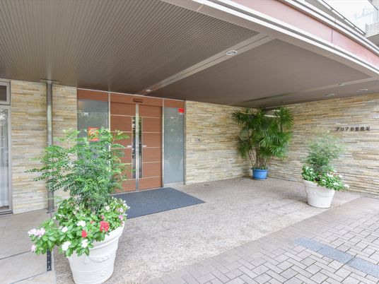 エントランスの観葉植物