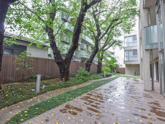 緑豊かな中庭の風景