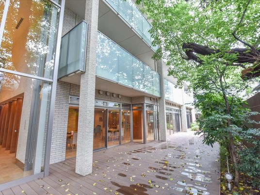 緑に囲まれた明るい建物入口
