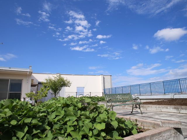 青空と緑のテラス 屋上 広々したテラスで心地の良い風を感じながら、のんびり過ごせる空間です。