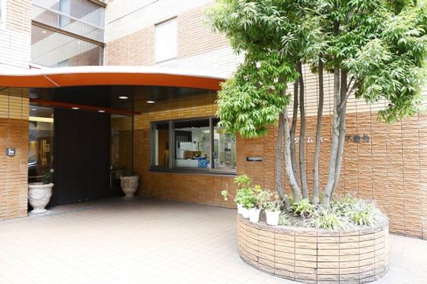入口と緑の木々