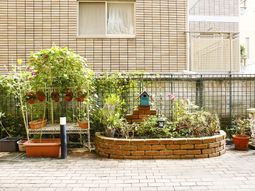 小さな庭と植物達