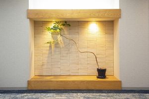 日差しが明るい居室