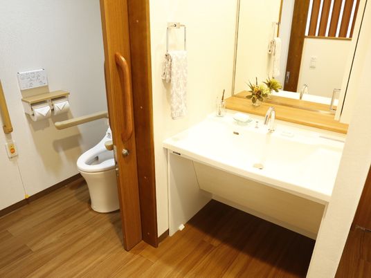 大きな鏡の付いた洗面台が、トイレの横に設置されている。車いすの方が乗ったまま使用できるように、下は空きスペースとなっている。