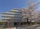 ニチイホーム不動前 作業療法士（日勤専従）（正社員）
