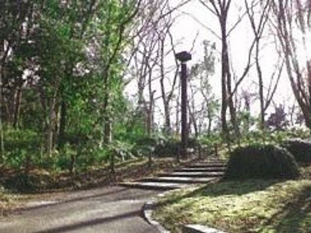 緑豊かな中庭 公園 自然に囲まれた中庭で、心地よい散策をお楽しみいただけます。新鮮な空気と緑の風景が日々の憩いを提供します。