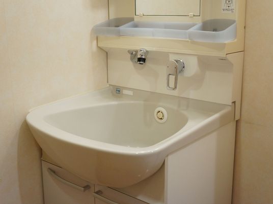 洗面台と手すり付き