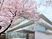 桜の花が咲いている施設のエントランス付近。ガラス張りのスタイリッシュな外観
