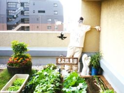 バルコニーの植物と人