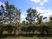 青空と緑の中庭