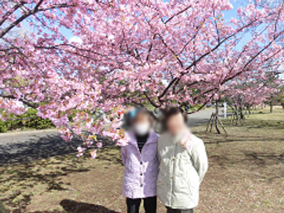 桜が咲く庭